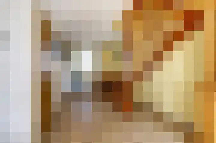 Veldm. Montgomeryhof 55 Panningen thumbnail 8