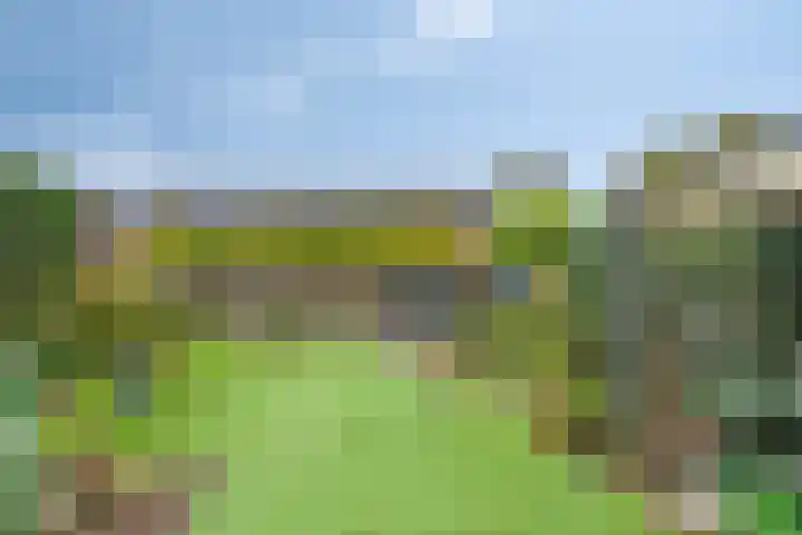 Veldm Montgomeryweg 57 Soesterberg thumbnail 30