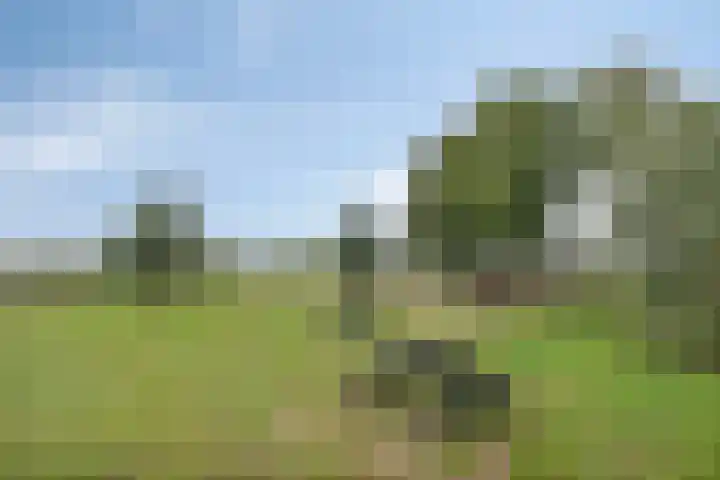 Veldm Montgomeryweg 57 Soesterberg thumbnail 33