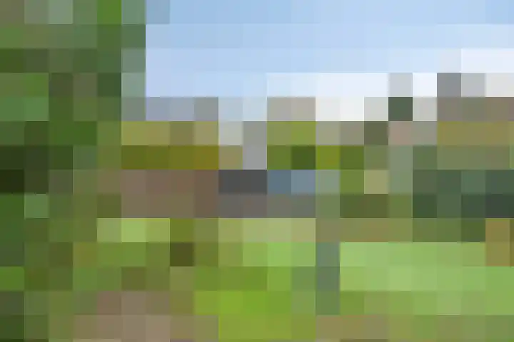 Veldm Montgomeryweg 57 Soesterberg thumbnail 4