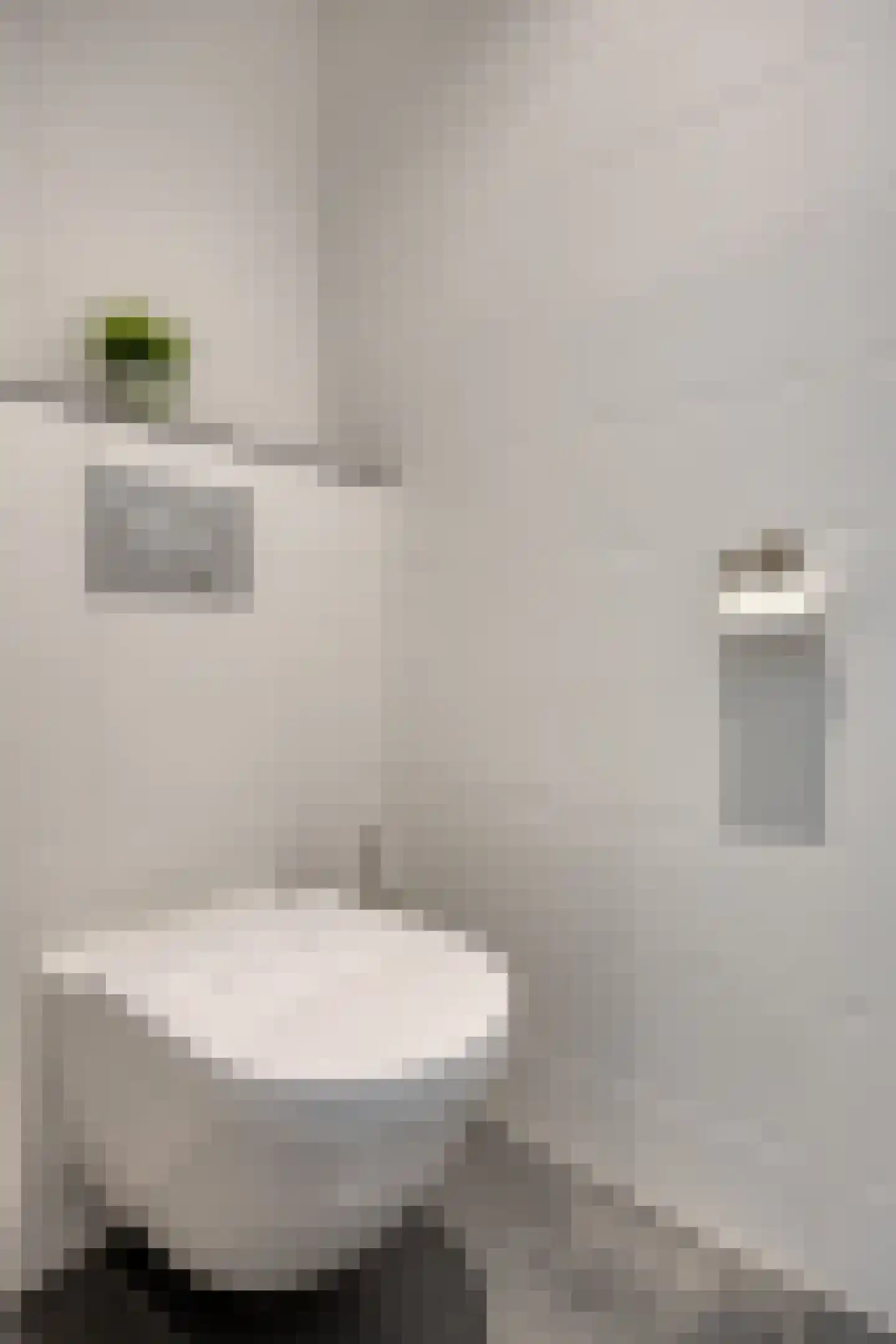 Veldmaarschalk Montgomerylaan 109 B Eindhoven thumbnail 63