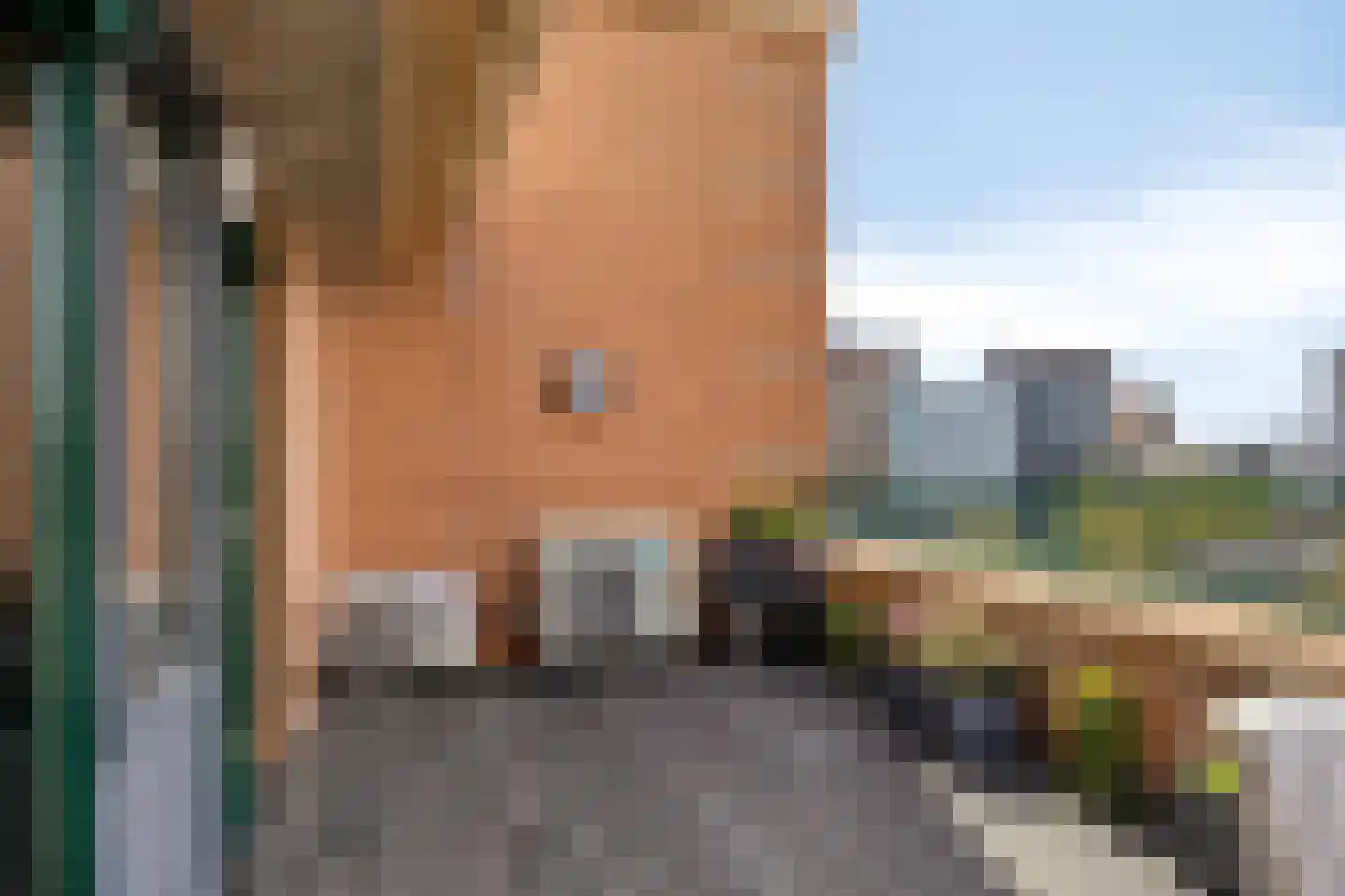 Veldmaarschalk Montgomerylaan 109 B Eindhoven thumbnail 71