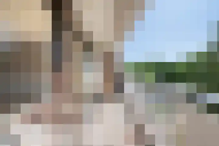 Veldmaarschalk Montgomerylaan 129 Eindhoven thumbnail 17