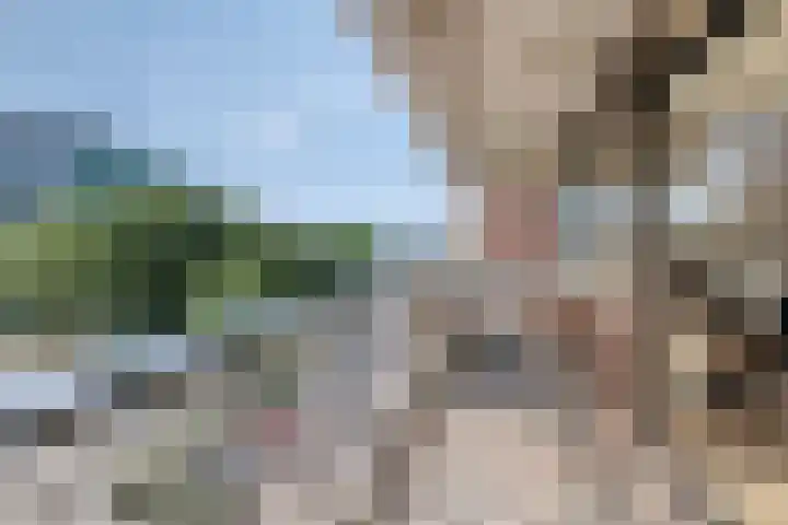 Veldmaarschalk Montgomerylaan 129 Eindhoven thumbnail 18