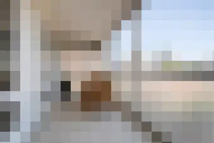 Veldmaarschalk Montgomerylaan 129 Eindhoven thumbnail 26