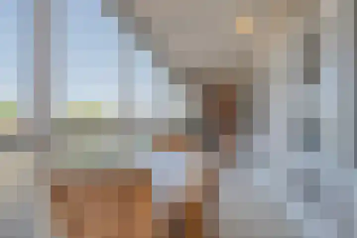Veldmaarschalk Montgomerylaan 129 Eindhoven thumbnail 27