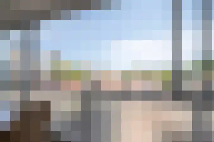 Veldmaarschalk Montgomerylaan 129 Eindhoven thumbnail 28