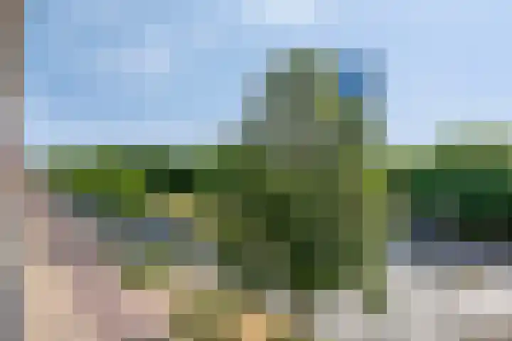 Veldmaarschalk Montgomerylaan 129 Eindhoven thumbnail 36