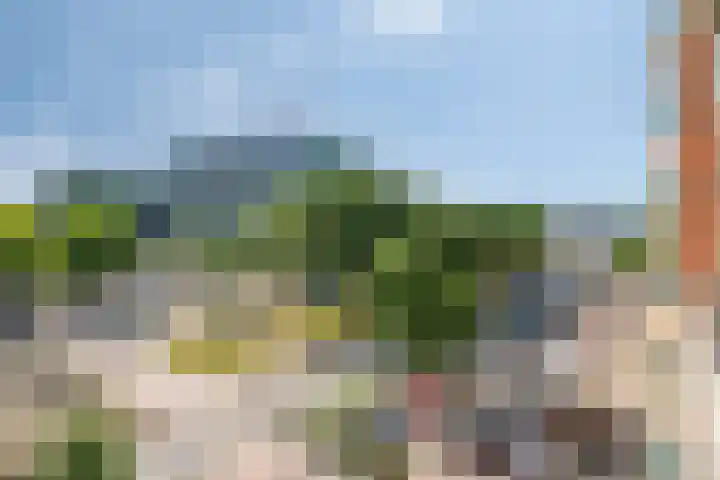 Veldmaarschalk Montgomerylaan 129 Eindhoven thumbnail 37