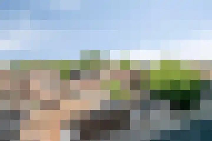Veldmaarschalk Montgomerylaan 129 Eindhoven thumbnail 39