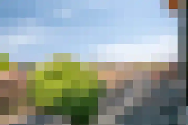 Veldmaarschalk Montgomerylaan 129 Eindhoven thumbnail 43