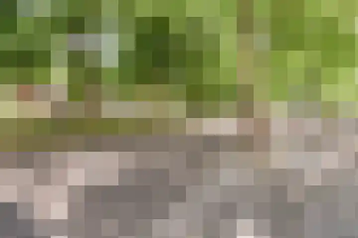Veldmaarschalk Montgomerylaan 129 Eindhoven thumbnail 44