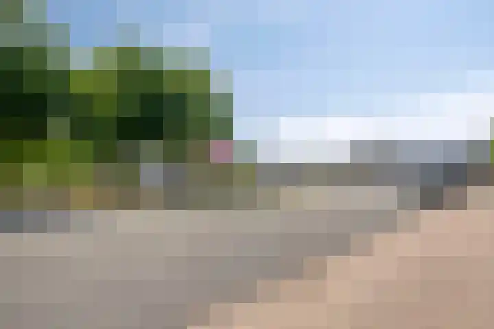 Veldmaarschalk Montgomerylaan 129 Eindhoven thumbnail 45