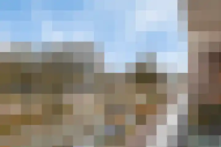 Veldmaarschalk Montgomerylaan 257 Eindhoven thumbnail 33