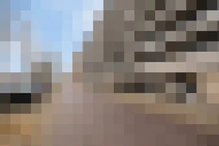 Veldmaarschalk Montgomerylaan 257 Eindhoven thumbnail 5