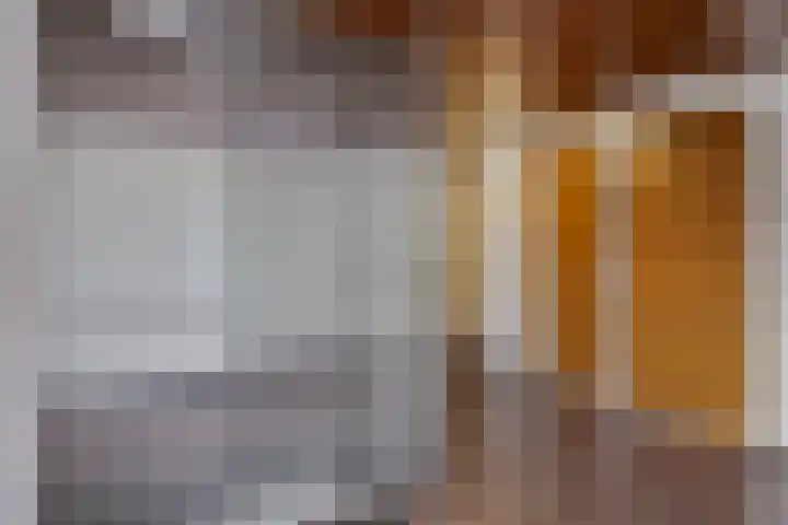Veldmaarschalk Montgomerylaan 257 Eindhoven thumbnail 9