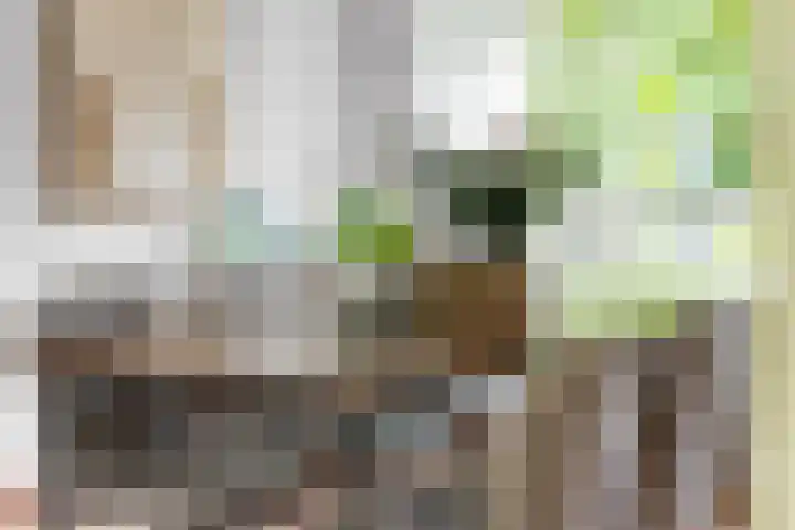 Veldmaarschalk Montgomerylaan 264 Eindhoven thumbnail 15