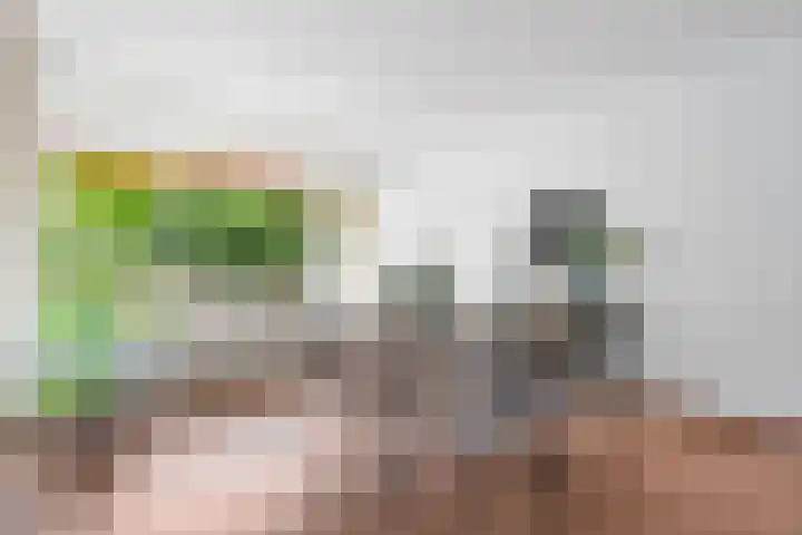 Veldmaarschalk Montgomerylaan 264 Eindhoven thumbnail 16