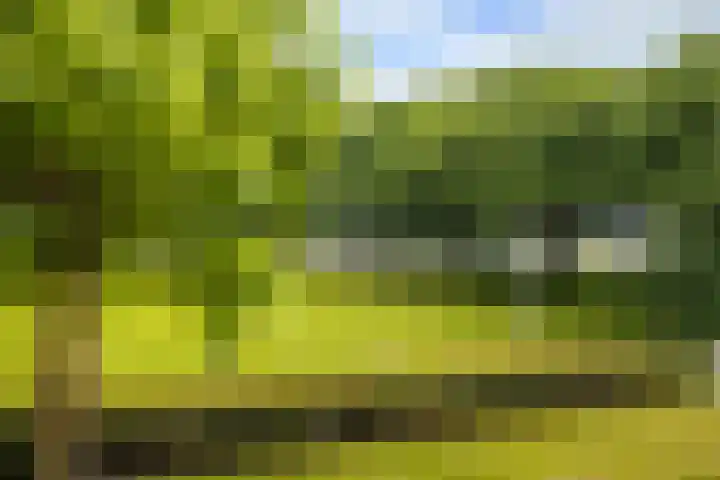 Veldmaarschalk Montgomerylaan 264 Eindhoven thumbnail 19