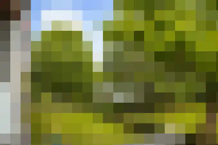 Veldmaarschalk Montgomerylaan 264 Eindhoven thumbnail 20