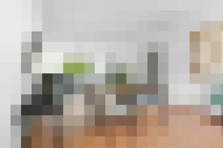 Veldmaarschalk Montgomerylaan 264 Eindhoven thumbnail 21