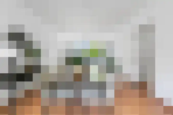 Veldmaarschalk Montgomerylaan 264 Eindhoven thumbnail 22