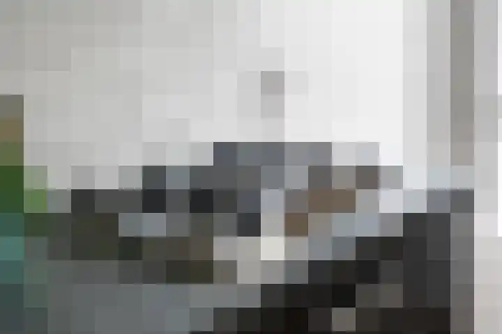 Veldmaarschalk Montgomerylaan 264 Eindhoven thumbnail 37