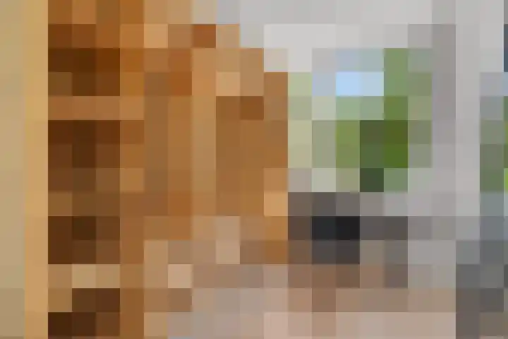 Veldmaarschalk Montgomerylaan 264 Eindhoven thumbnail 38