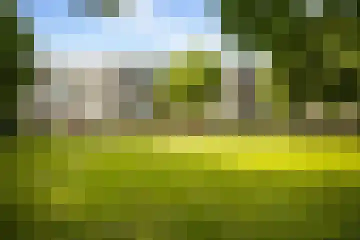 Veldmaarschalk Montgomerylaan 264 Eindhoven thumbnail 51