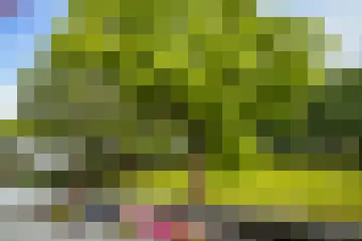 Veldmaarschalk Montgomerylaan 264 Eindhoven thumbnail 6