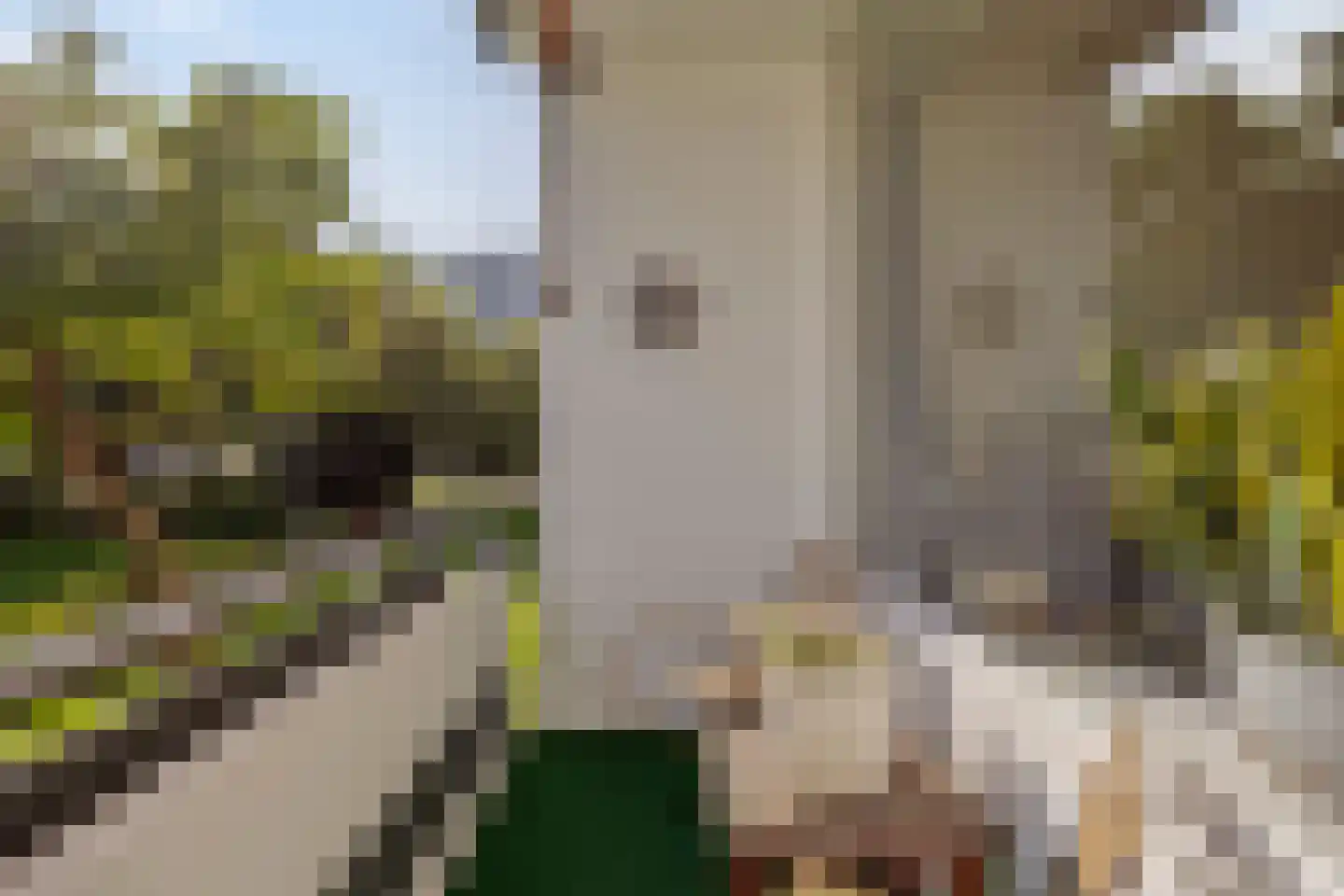 Veldmaarschalk Montgomerylaan 266 Eindhoven thumbnail 21