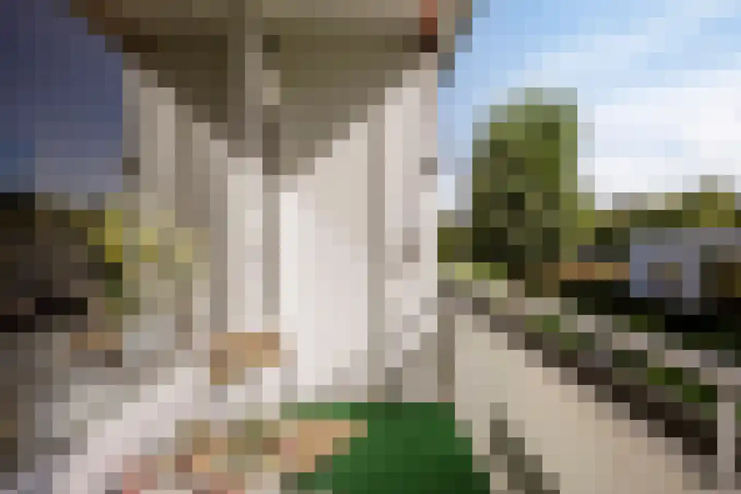 Veldmaarschalk Montgomerylaan 266 Eindhoven thumbnail 22