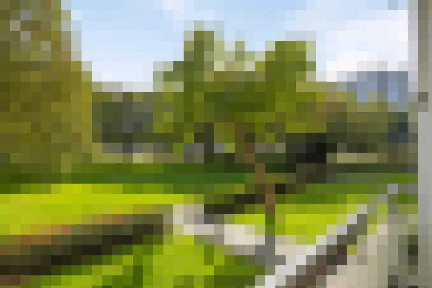 Veldmaarschalk Montgomerylaan 266 Eindhoven thumbnail 23