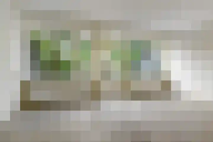 Veldmaarschalk Montgomerylaan 272 Eindhoven thumbnail 14