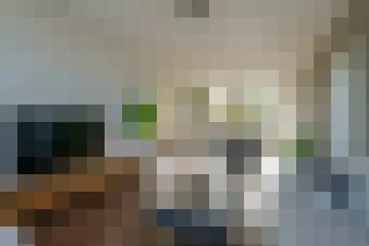 Veldmaarschalk Montgomerylaan 272 Eindhoven thumbnail 32