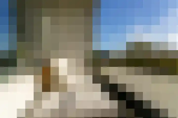 Veldmaarschalk Montgomerylaan 272 Eindhoven thumbnail 38