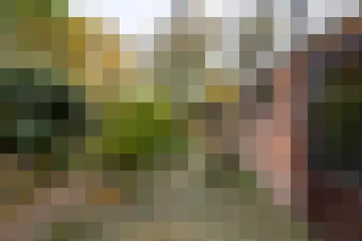Veldmaarschalk Montgomerylaan 272 Eindhoven thumbnail 41