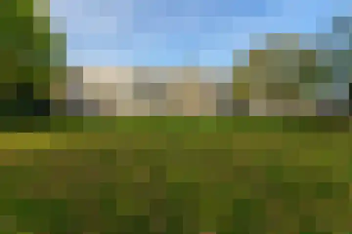 Veldmaarschalk Montgomerylaan 272 Eindhoven thumbnail 9