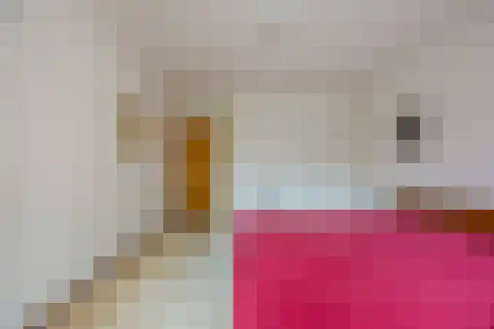 Veldmaarschalk Montgomerylaan 297 Eindhoven thumbnail 38