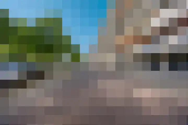 Veldmaarschalk Montgomerylaan 297 Eindhoven thumbnail 4