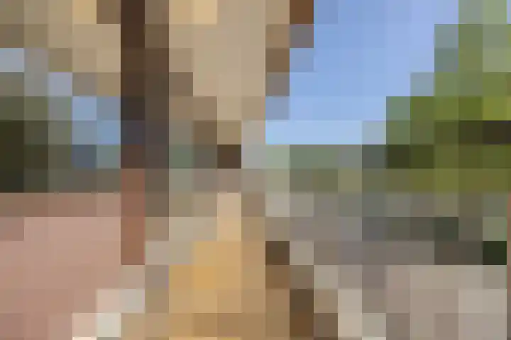Veldmaarschalk Montgomerylaan 297 Eindhoven thumbnail 44