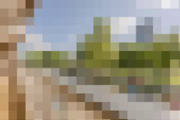Veldmaarschalk Montgomerylaan 297 Eindhoven thumbnail 49