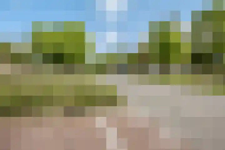 Veldmaarschalk Montgomerylaan 297 Eindhoven thumbnail 60