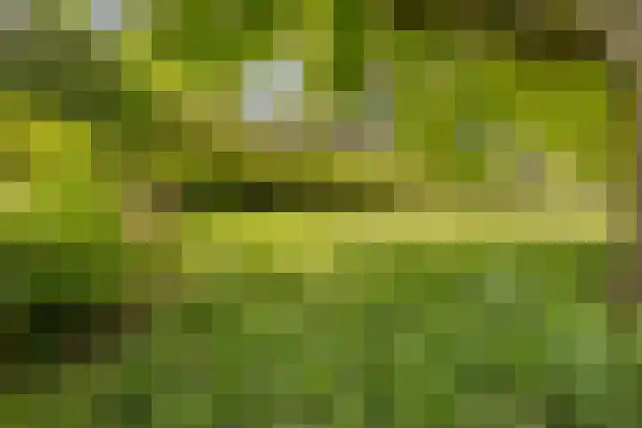 Veldmaarschalk Montgomerylaan 297 Eindhoven thumbnail 61