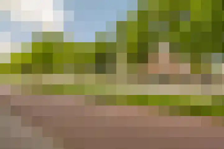 Veldmaarschalk Montgomerylaan 297 Eindhoven thumbnail 62