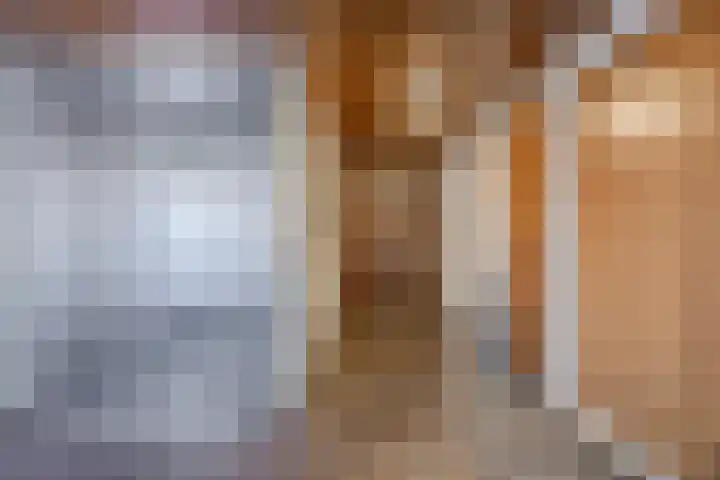 Veldmaarschalk Montgomerylaan 297 Eindhoven thumbnail 8