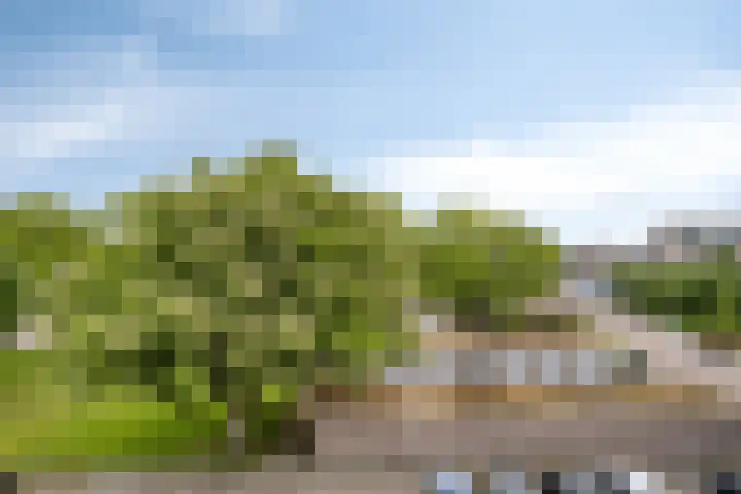 Veldmaarschalk Montgomerylaan 308 Eindhoven thumbnail 24