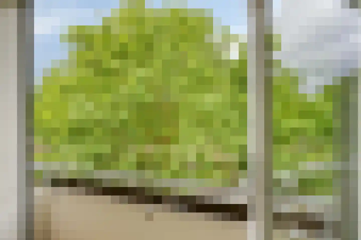 Veldmaarschalk Montgomerylaan 308 Eindhoven thumbnail 27