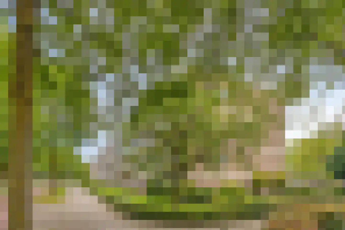 Veldmaarschalk Montgomerylaan 308 Eindhoven thumbnail 36