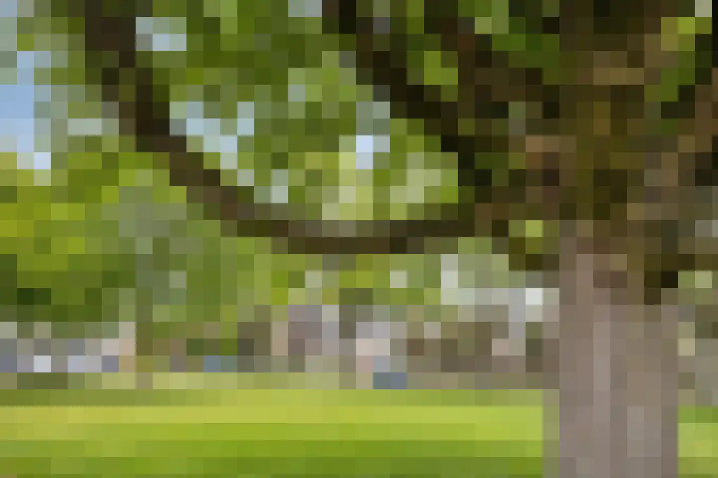 Veldmaarschalk Montgomerylaan 308 Eindhoven thumbnail 39